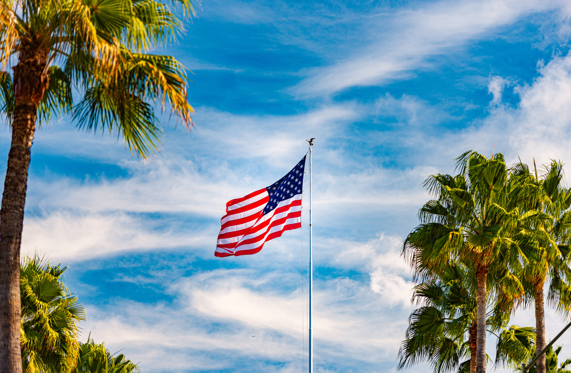 How Spring Weather Affects Your American Flag (And How to Protect It ...