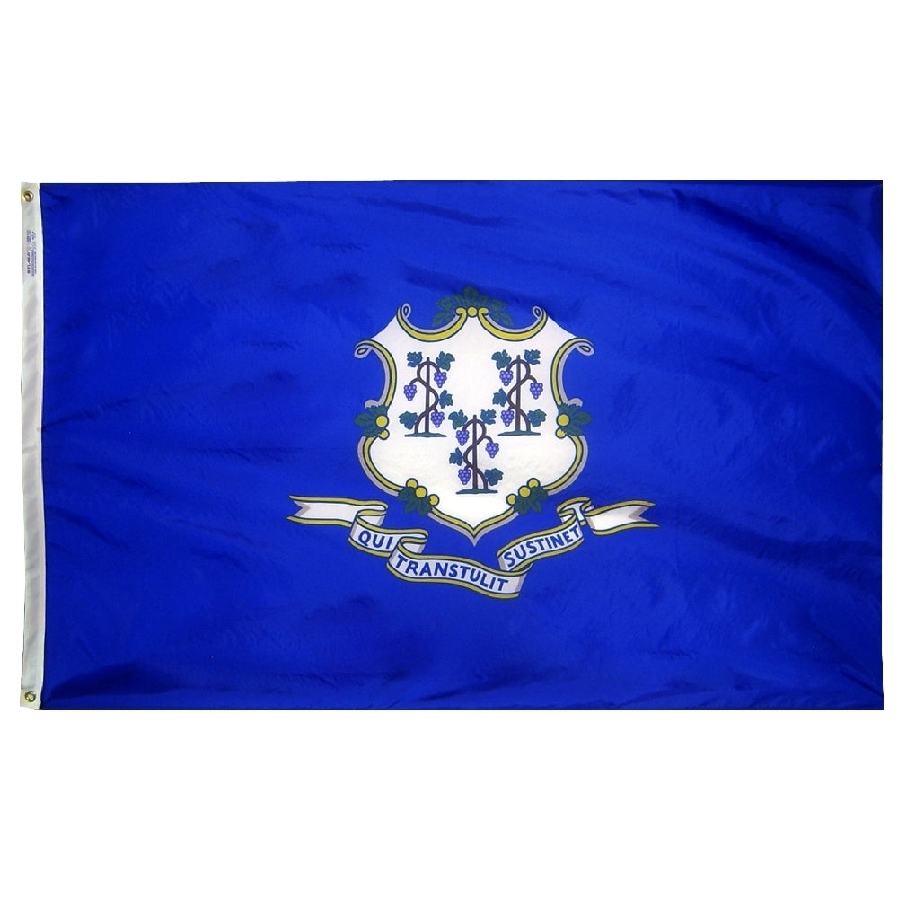 Connecticut State Flag Nylon SolarGuard Nyl-Glo