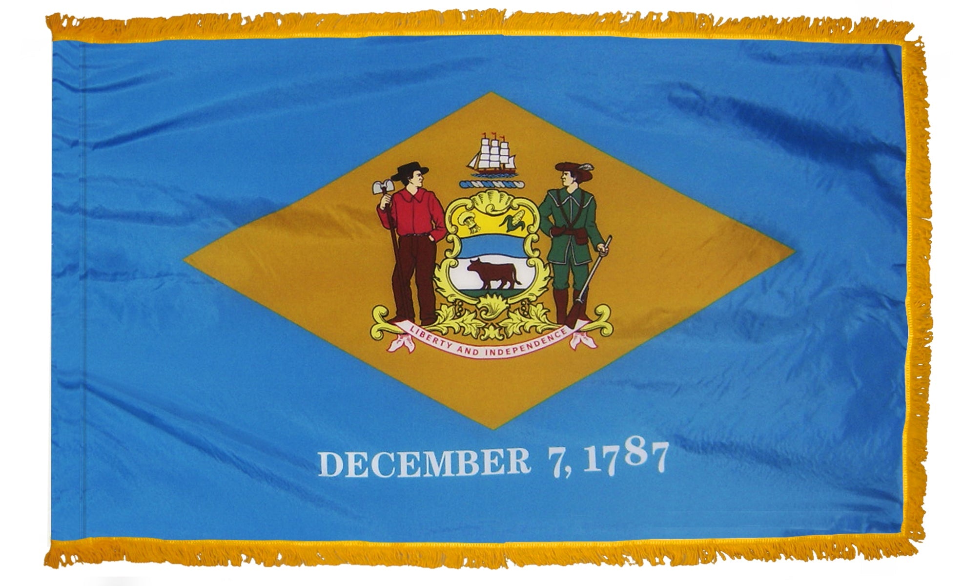 Delaware State Flag Nylon with Pole Sleeve and Gold Fringe for Parades, and Indoor Display